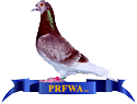 Pigeon Racing Federation WA